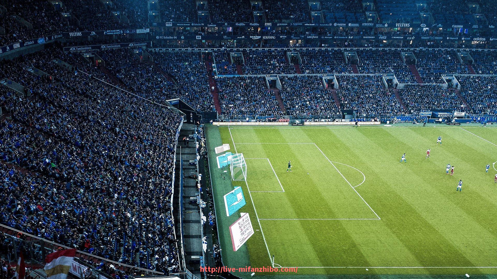 秘饭直播-法甲2024-2025赛季赛季比赛总结与亮点回顾